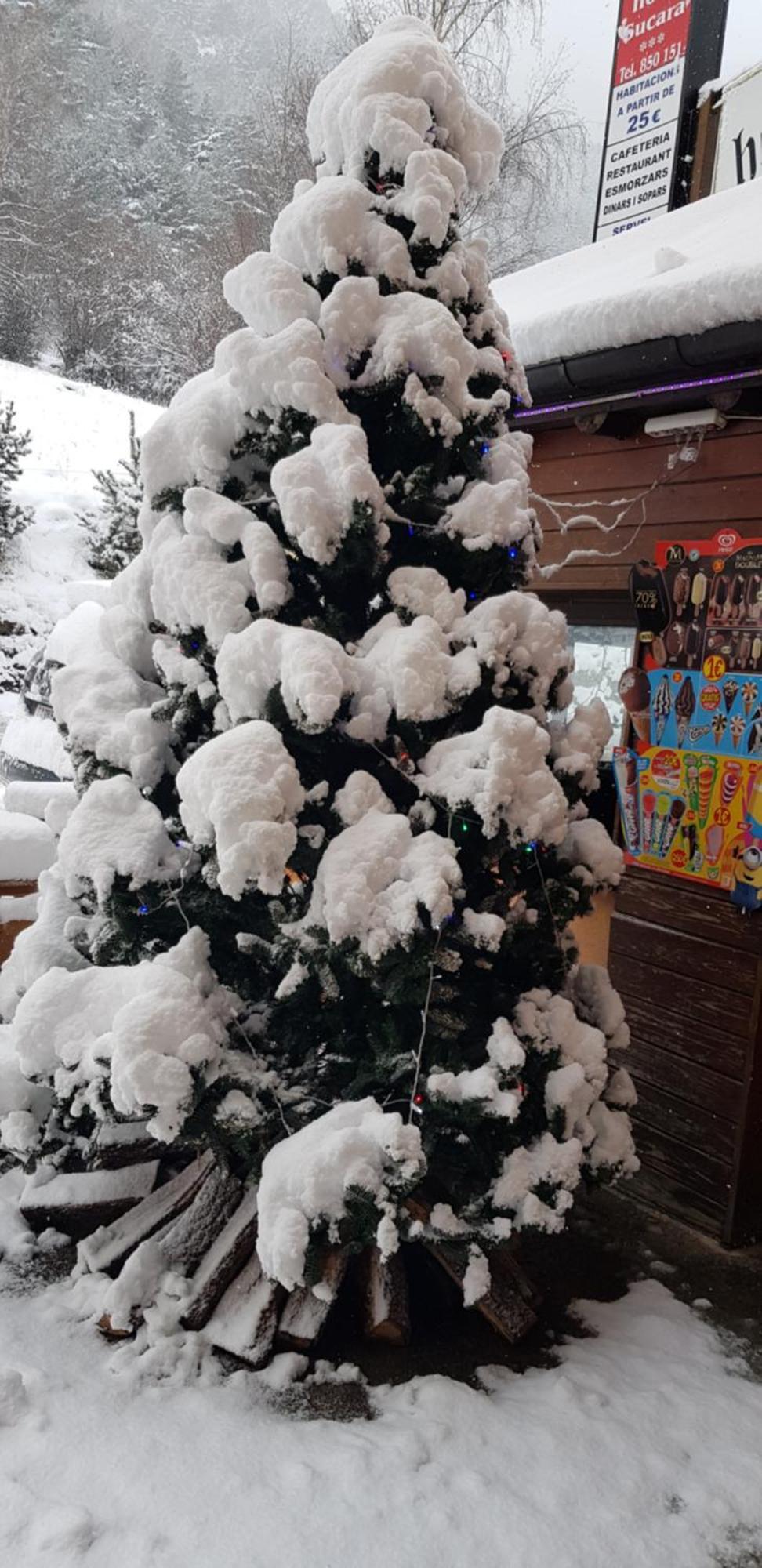 Hotel Sucara La Cortinada Екстериор снимка